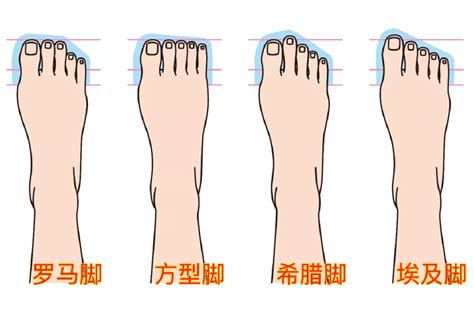 腳形 性格|準爆！你是哪種腳型？秒解你的「性格、天賦、未來伴侶」